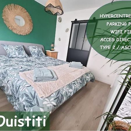 Le Ouistiti - 50 M De La Gare - Parking Prive Apartment ตูร์ ภายนอก รูปภาพ