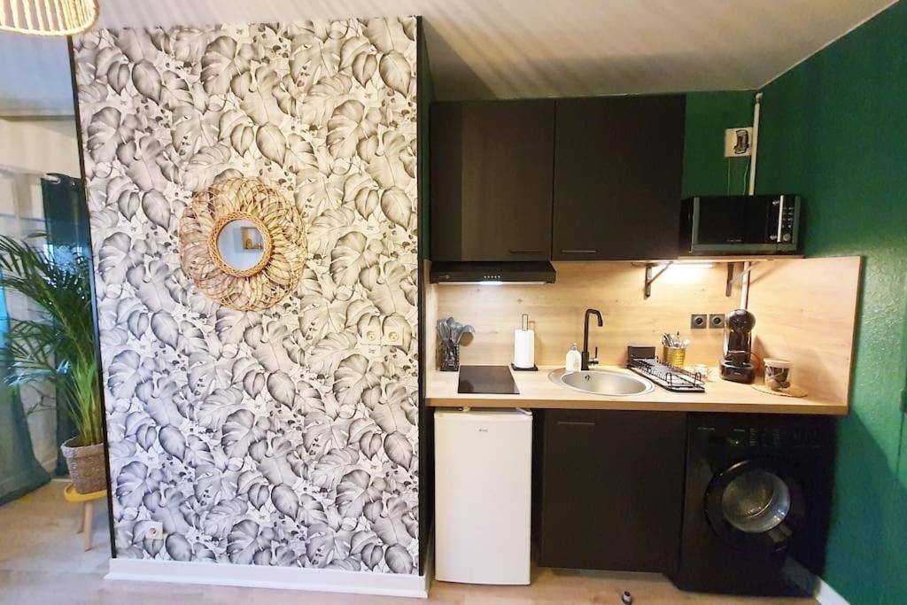Le Ouistiti - 50 M De La Gare - Parking Prive Apartment ตูร์ ภายนอก รูปภาพ