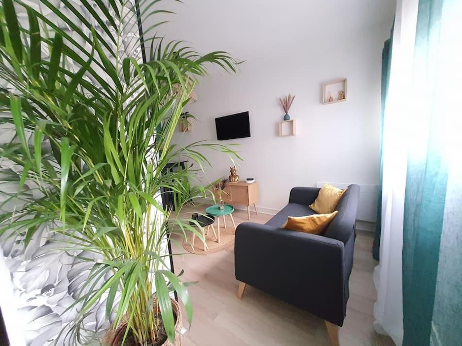 Le Ouistiti - 50 M De La Gare - Parking Prive Apartment ตูร์ ภายนอก รูปภาพ