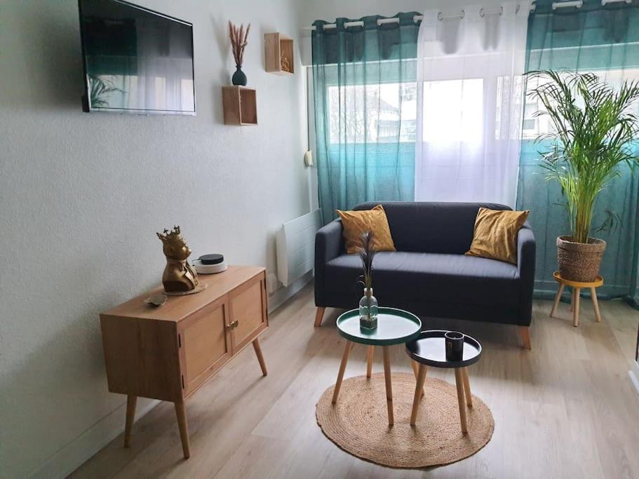 Le Ouistiti - 50 M De La Gare - Parking Prive Apartment ตูร์ ภายนอก รูปภาพ