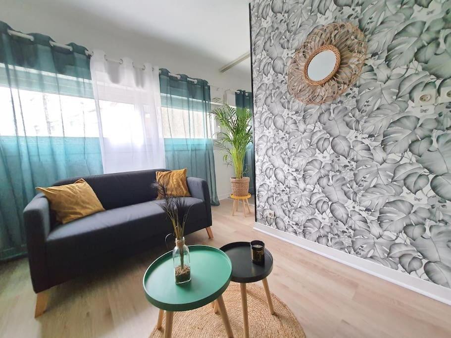Le Ouistiti - 50 M De La Gare - Parking Prive Apartment ตูร์ ภายนอก รูปภาพ